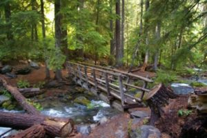 River with Bridge Outdoors