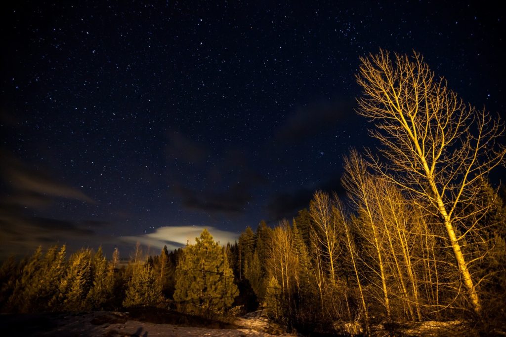 Stars