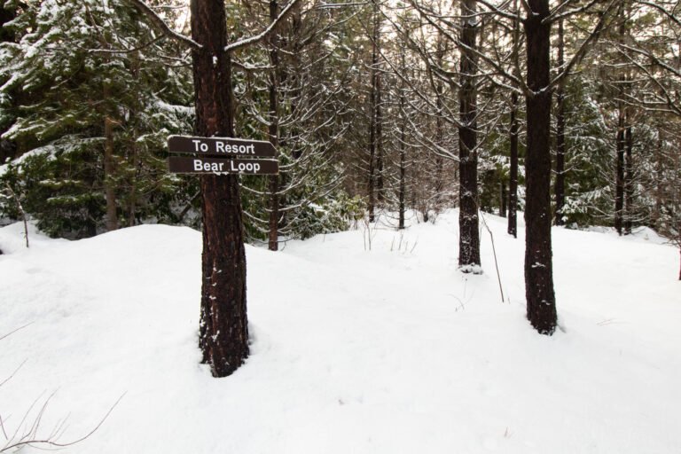 Bear Loop Nordic Trail