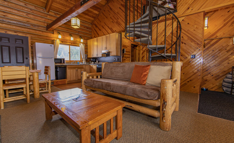 Condo & Cabin Living Rooms at Cooper Spur Mountain Resort