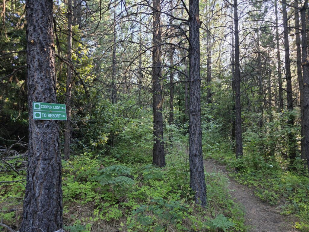 Cooper Loop Trail Sign