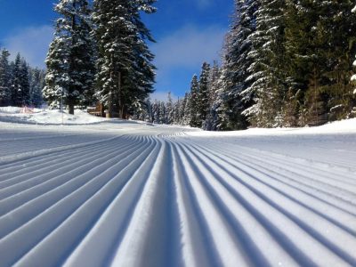 Cooper Spur Ski And Tubing Area / Skiing Near Portland | Skamania Lodge - Maybe you would like to learn more about one of these?