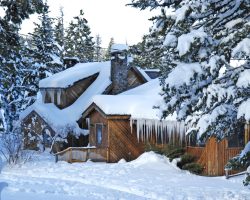 Crooked Tree Tavern Snow Outdoors Winter