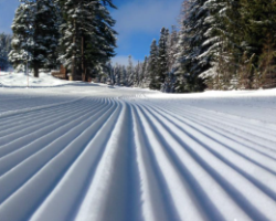 Fresh Groom- Cord at Cooper Spur